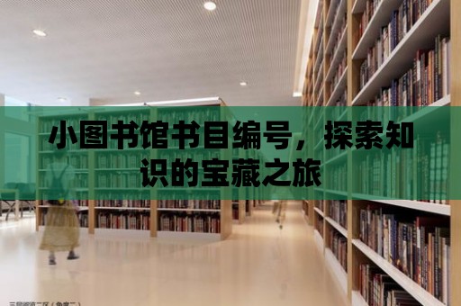 小圖書館書目編號，探索知識的寶藏之旅