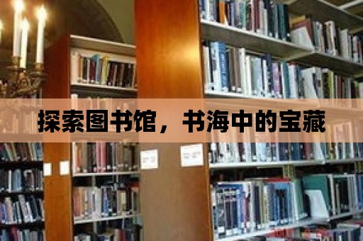 探索圖書館，書海中的寶藏