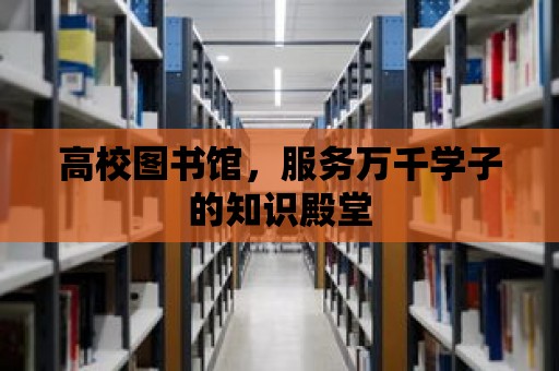 高校圖書館，服務(wù)萬千學(xué)子的知識殿堂