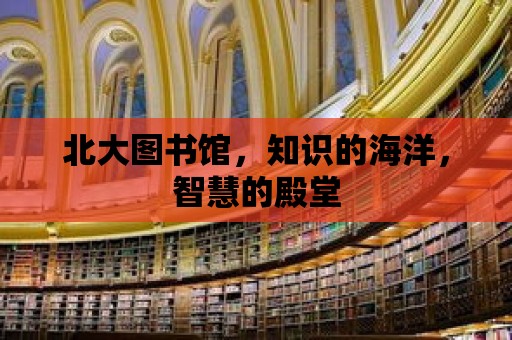 北大圖書館，知識的海洋，智慧的殿堂