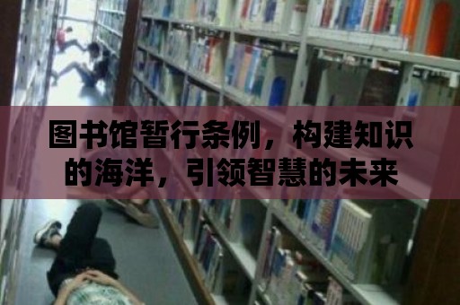 圖書館暫行條例，構建知識的海洋，引領智慧的未來