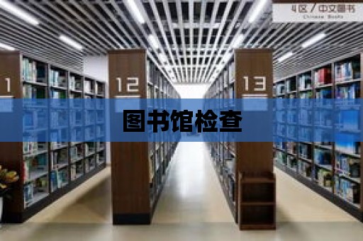 圖書館檢查