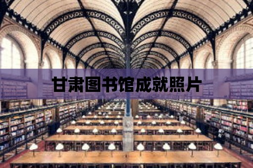 甘肅圖書館成就照片