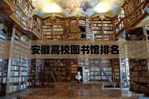 安徽高校圖書館排名