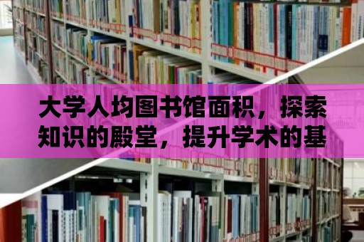 大學人均圖書館面積，探索知識的殿堂，提升學術的基石