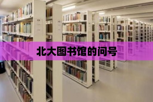 北大圖書館的問號