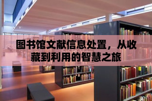 圖書館文獻信息處置，從收藏到利用的智慧之旅