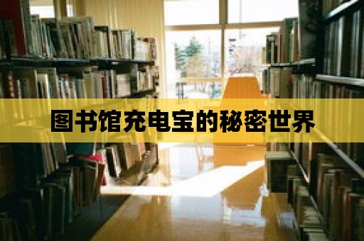 圖書館充電寶的秘密世界