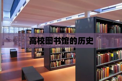 高校圖書館的歷史