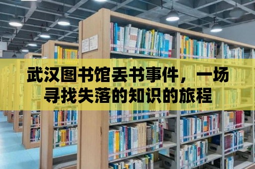 武漢圖書館丟書事件，一場尋找失落的知識的旅程