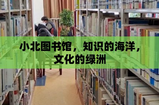 小北圖書館，知識的海洋，文化的綠洲