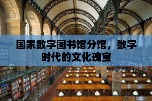 國家數字圖書館分館，數字時代的文化瑰寶