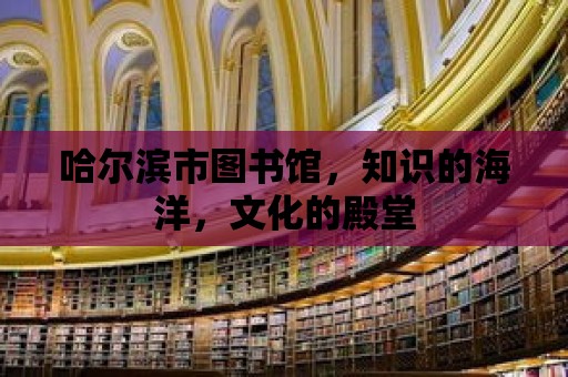 哈爾濱市圖書館，知識的海洋，文化的殿堂