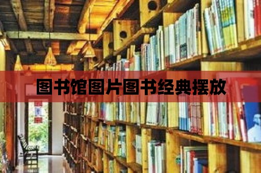 圖書館圖片圖書經典擺放