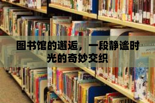 圖書館的邂逅，一段靜謐時光的奇妙交織