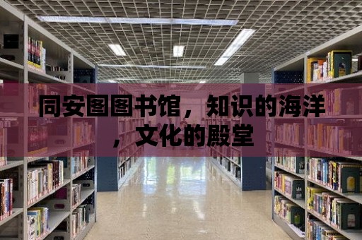 同安圖圖書館，知識的海洋，文化的殿堂