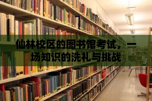 仙林校區的圖書館考試，一場知識的洗禮與挑戰