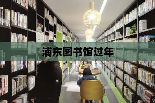 浦東圖書館過年