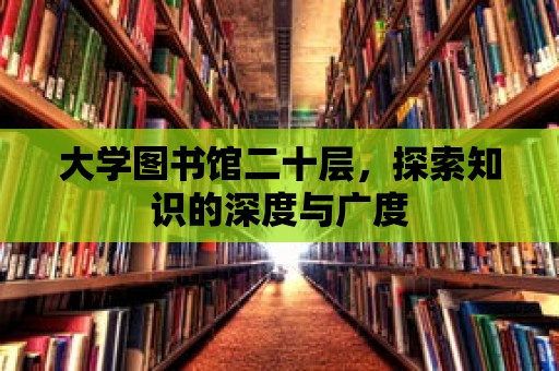 大學(xué)圖書館二十層，探索知識的深度與廣度