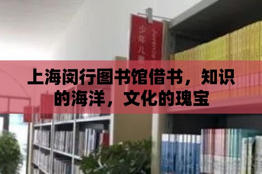 上海閔行圖書館借書，知識的海洋，文化的瑰寶