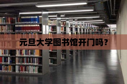 元旦大學圖書館開門嗎？