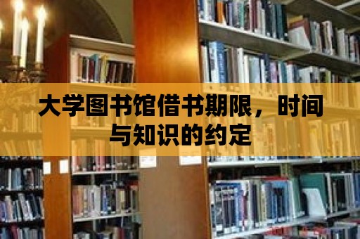 大學圖書館借書期限，時間與知識的約定