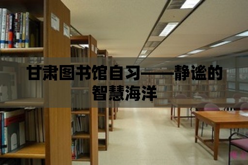 甘肅圖書館自習——靜謐的智慧海洋