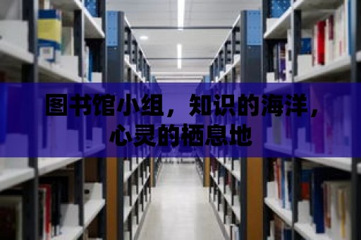 圖書館小組，知識的海洋，心靈的棲息地