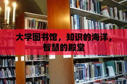 大學圖書館，知識的海洋，智慧的殿堂