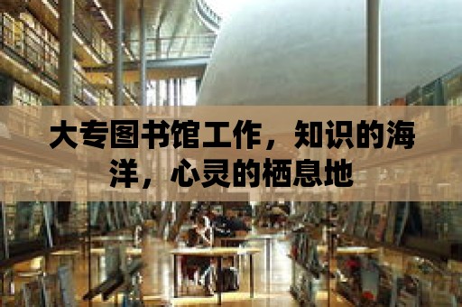 大專圖書館工作，知識的海洋，心靈的棲息地