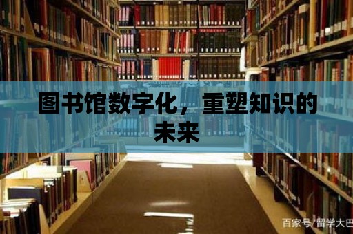 圖書館數(shù)字化，重塑知識的未來