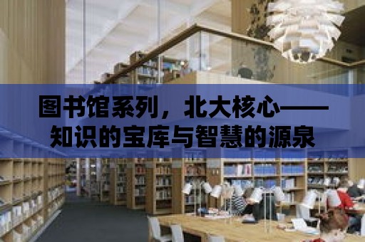 圖書館系列，北大核心——知識的寶庫與智慧的源泉