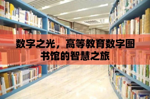 數字之光，高等教育數字圖書館的智慧之旅