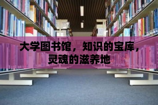 大學圖書館，知識的寶庫，靈魂的滋養地