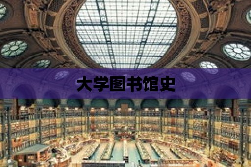 大學圖書館史