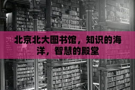 北京北大圖書館，知識的海洋，智慧的殿堂