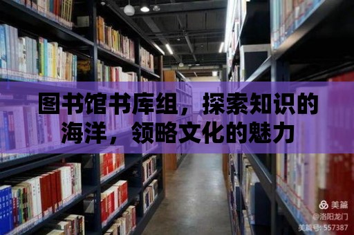 圖書館書庫組，探索知識的海洋，領(lǐng)略文化的魅力