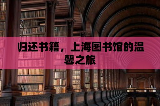 歸還書籍，上海圖書館的溫馨之旅