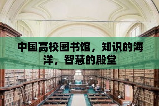 中國高校圖書館，知識的海洋，智慧的殿堂