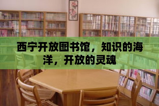 西寧開放圖書館，知識的海洋，開放的靈魂