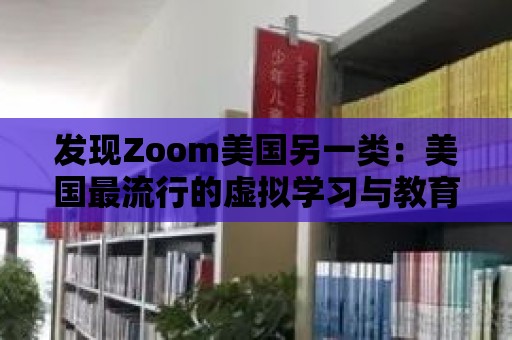 發現Zoom美國另一類：美國最流行的虛擬學習與教育活動