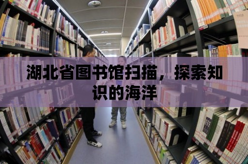 湖北省圖書館掃描，探索知識的海洋