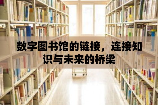 數字圖書館的鏈接，連接知識與未來的橋梁