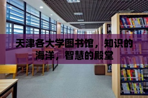 天津各大學(xué)圖書館，知識(shí)的海洋，智慧的殿堂