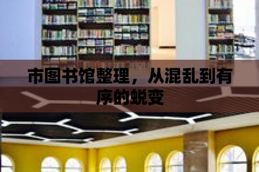 市圖書館整理，從混亂到有序的蛻變