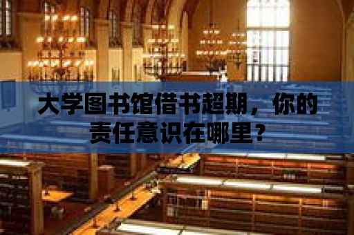 大學圖書館借書超期，你的責任意識在哪里？