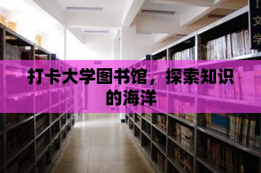 打卡大學圖書館，探索知識的海洋