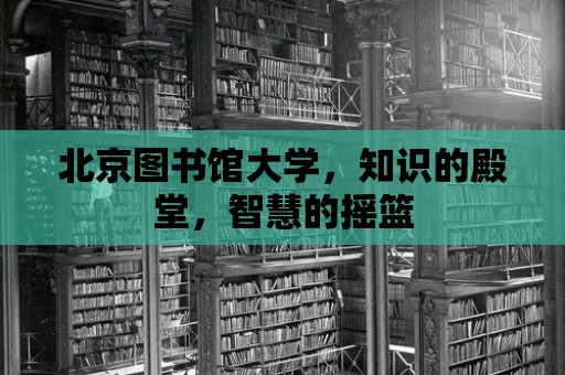 北京圖書館大學，知識的殿堂，智慧的搖籃