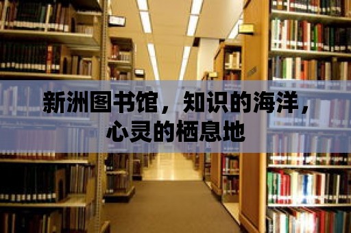 新洲圖書館，知識的海洋，心靈的棲息地