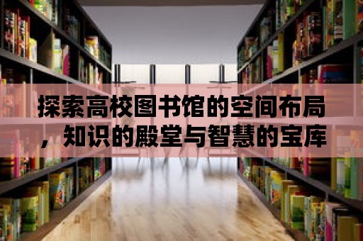 探索高校圖書館的空間布局，知識的殿堂與智慧的寶庫